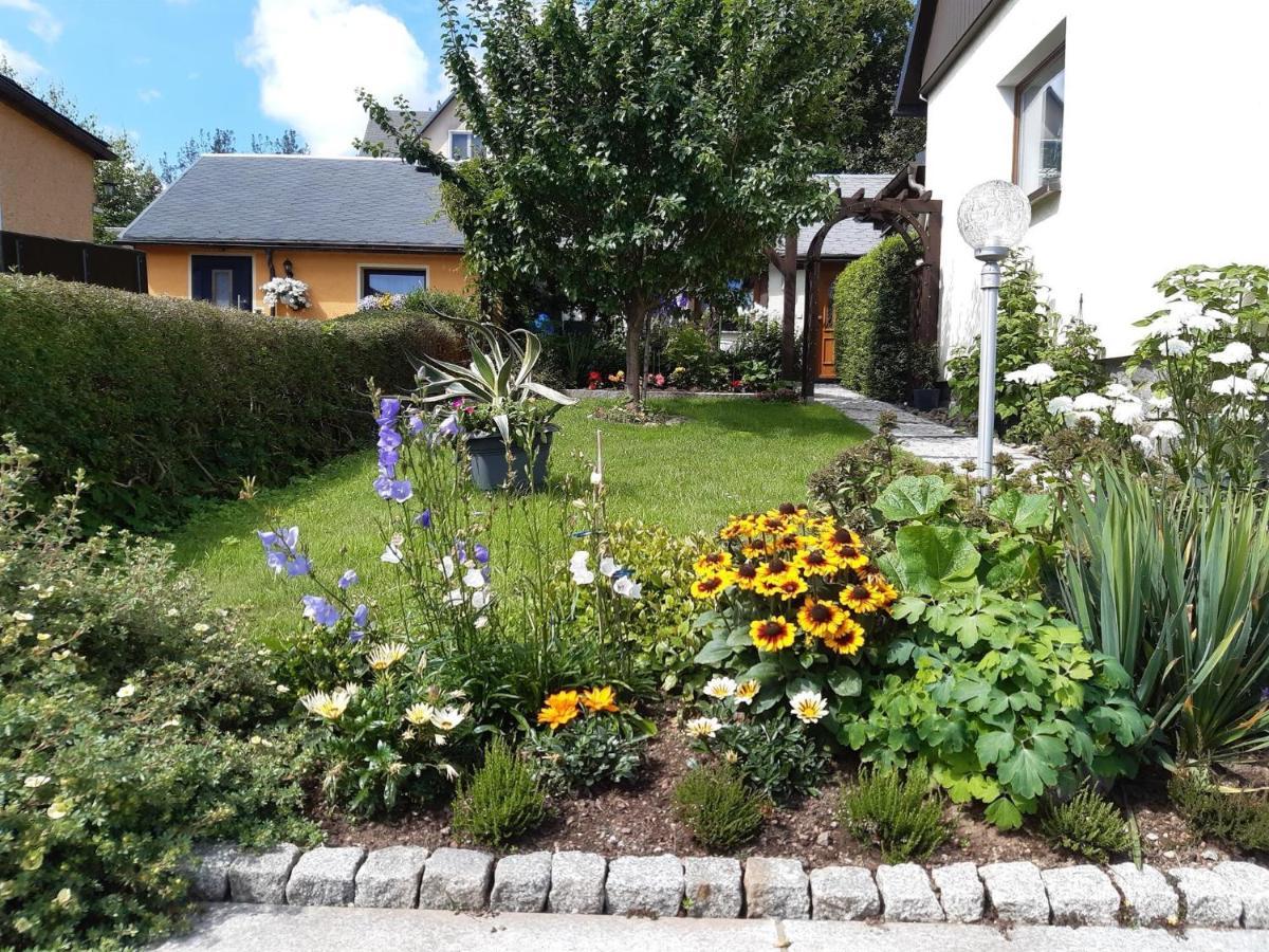 Ferienhaus Schelle Altenberg المظهر الخارجي الصورة